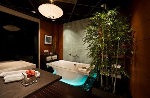 TROINT_October_Blog1_Whole-Home-Lighting-Control-System-Chapel-Hill-NC_Photo